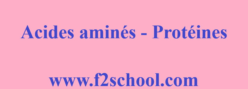 Acides-aminés-Protéines