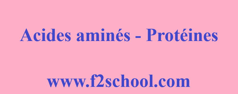 Photo : Protéines - Acides aminés : Cours - TP - Examens