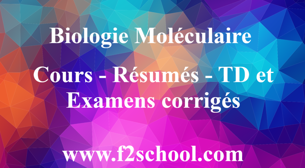 Photo :  Biologie Moléculaire : Cours-Résumés-TD et Examens corrigés