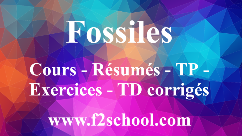 Fossiles : Cours-Résumés-TP-Exercices- TD corrigés