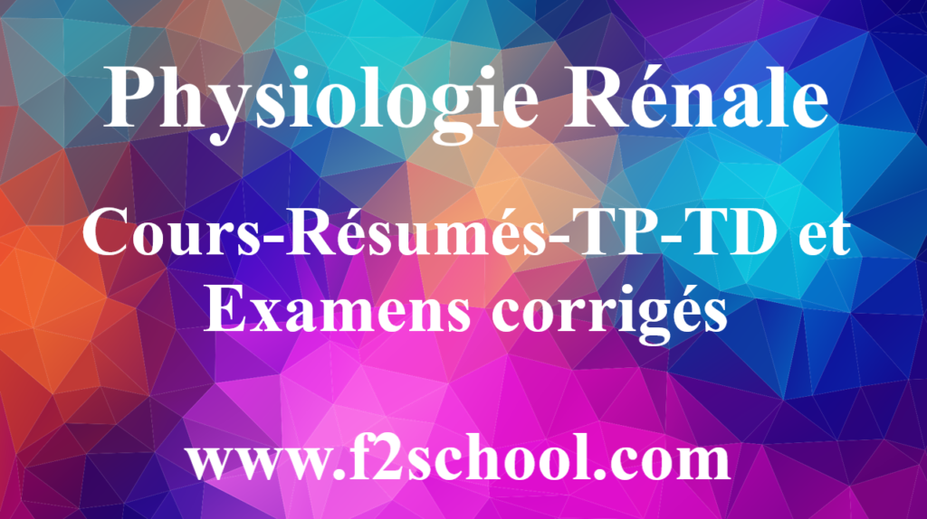 Physiologie Rénale : Cours-Résumés-TP-TD et Examens corrigés